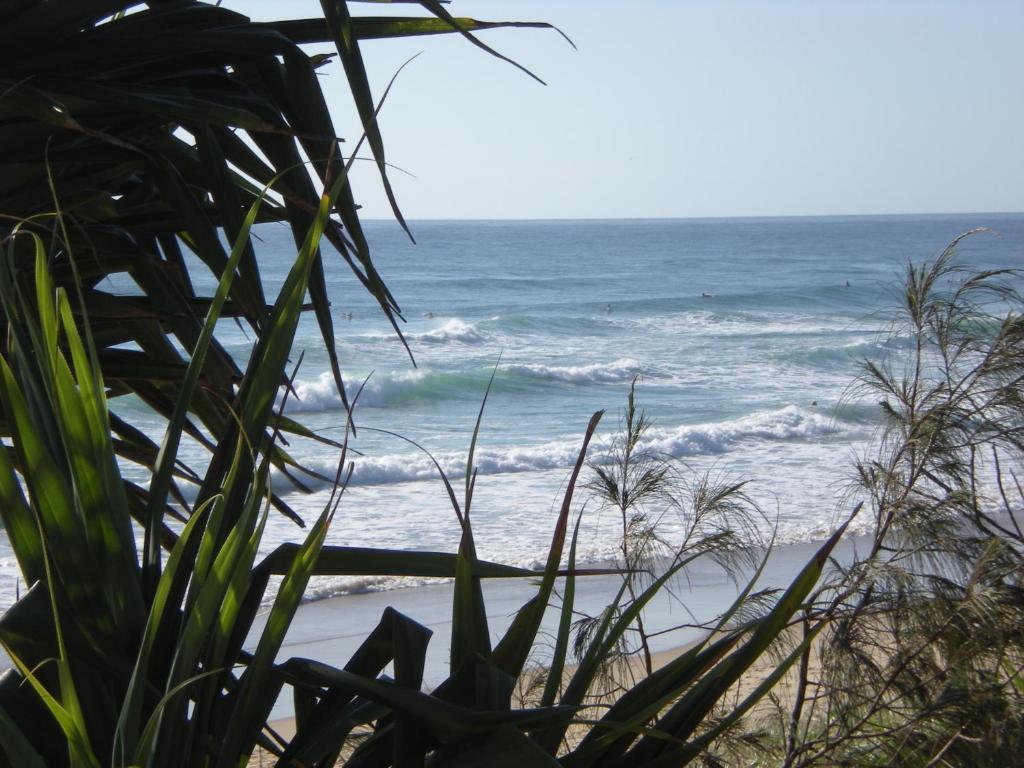 Horizons At Peregian Aparthotel Peregian Beach Szoba fotó
